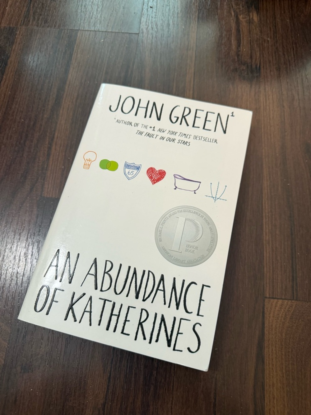 John Green An Abundance of Katherines Paperback | YA Bestseller | Like New